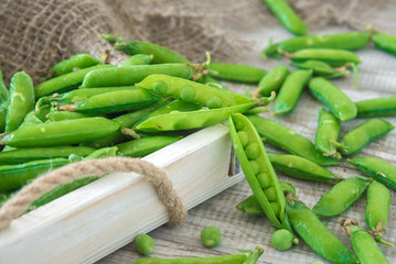Pods of green peas outside in a small bowl on a wooden table