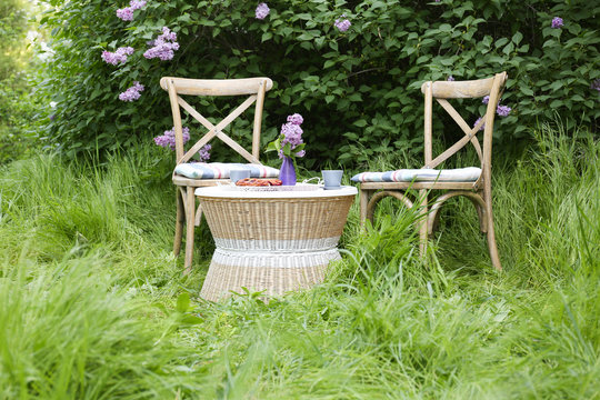 Breakfast in beautiful lilac garden