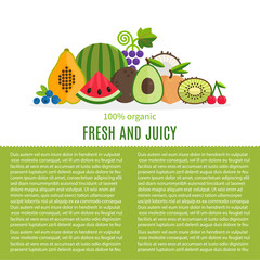 Fresh Fruits Vector Collection.