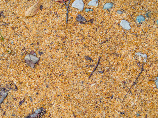 Abstract gradient background of sawdust