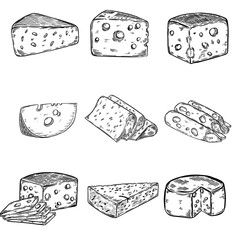 Set of Cheese illustrations isolated on white background. Design elements for poster, menu. Vector illustration