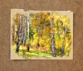 White birch trunks in a golden dress. Russian autumn watercolor landscape on paper with a torn edge in the passepartout