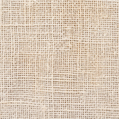   Texture of the cotton fabric 