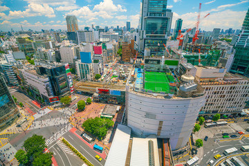 Shibuya Crossing from top view