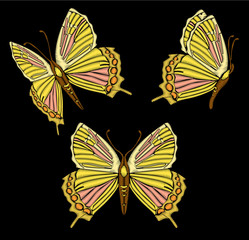 Embroidery ethnic butterfly, line design fashion wearing. Vector vintage , decorative element for embroidery, patches and stickers Set of butterflies in different views