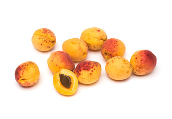 Apricot on white background