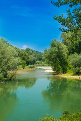 Fototapeta premium Beautiful jungle landscape, confluence of Mura and Drava rivers in Medjimurje, Croatia 