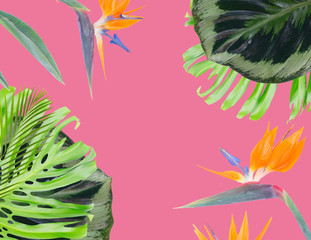 Fototapeta na wymiar tropical flowers and leaves - frame of fresh strelizia bird of paradize flowers and exotic tropical leaves on pink background