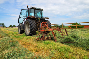 Obraz premium jeune agricultrice retournant le foin