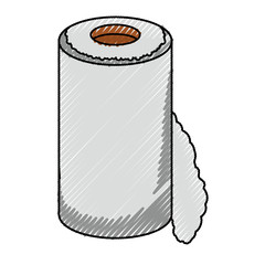 isolated paper towel roll