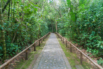 Path for visitors of an archeological park in San Agustin, Colombia