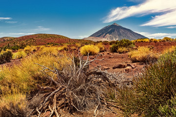 Tenerife, Teide © Ingo Bartussek