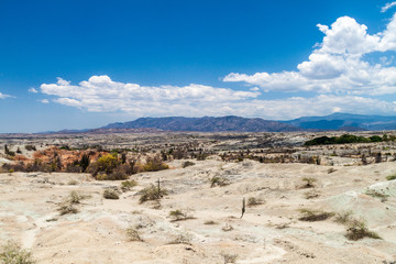 Fototapeta na wymiar Landscape of Tatacoa desert, Colombia