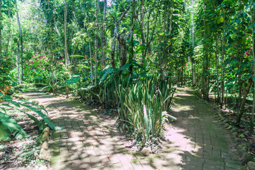 Paths in El Gallineral park in San Gil, Colombia