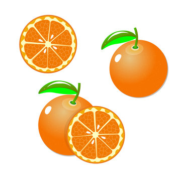 Collection of whole and sliced orange fruits isolated on white background. Vector