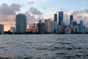 Naklejka premium Downtown Miami Skyline in the Summer