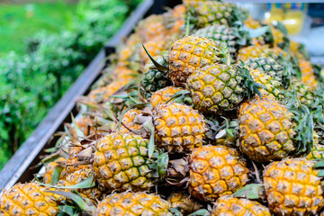 Stack Pineapple Natural Fruit