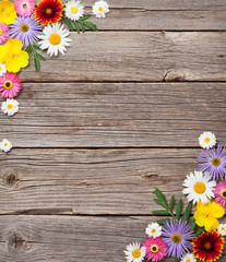Obraz premium Garden flowers on wood