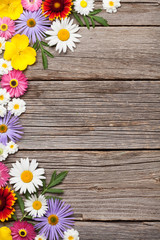 Obraz premium Garden flowers on wood