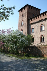 Fototapeta na wymiar Castello visconteo_Pavia_il torrione e i fiori