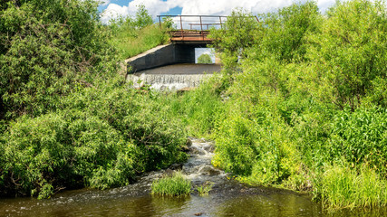 летний пейзаж с ручьем и зеленой растительностью на берегу, Россия, Урал  © 7ynp100