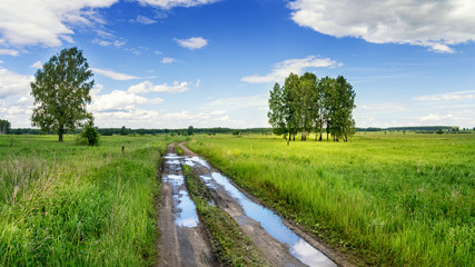 Fototapeta na wymiar летний пейзаж в поле с проселочной дорогой и деревьями, Роосия 