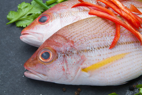 delicious portion of fresh fish fillet with aromatic herbs spices
