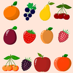 Fruits and berries collected in a set.