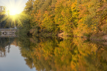 Fototapeta premium Autumn trees are reflected in the lake