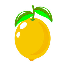 Lemon vector . Isolated illustration on white background.