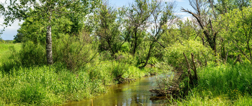 летний пейзаж с ручьем и зеленой растительностью на берегу, Россия, Урал 
