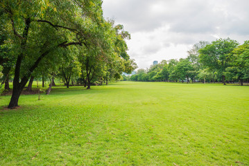 green grass field in big city park