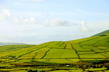 Ireland - Irish landscape - Patchwork of green fields near Dingle in county Kerry