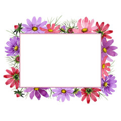 Fototapeta na wymiar Wildflower kosmeya flower frame in a watercolor style isolated.
