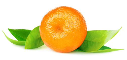 Isolated citrus fruit. One whole tangerine or mandarin orange fruit isolated on white background with clipping path