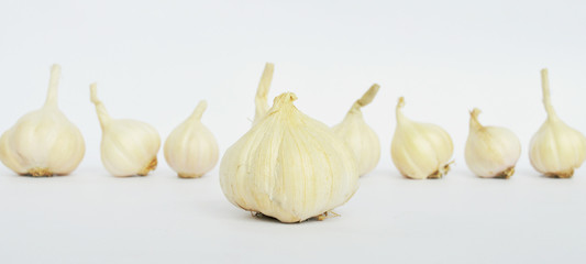 Fresh garlic isolated on white background 