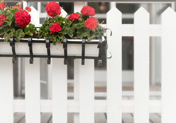 Fototapeta na wymiar Flower box on wooden fence. Sweden, Europe