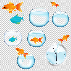 Fish And Aquariums Set
