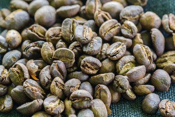coffee bean