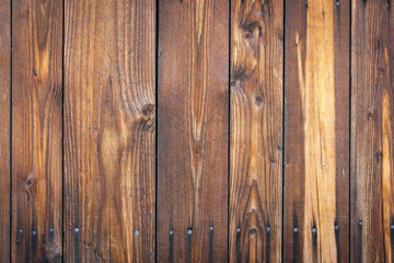 Fototapeta premium old varnished tree texture
