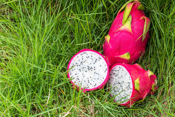 Close up of Dragon fruit