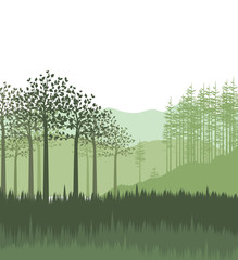 Obraz premium Landscape with forest