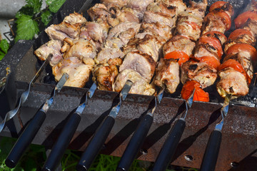 Meat of pork, made as a shish kebab on a picnic in the open air