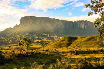 Foto op Canvas View towards Kukenan en route to Mount Roraima, Venezuela © evenfh