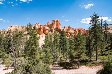 Fototapeta premium Bryce Canyon National Park, Utah, United States