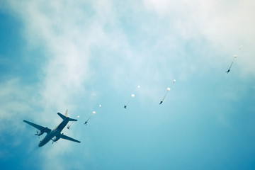 Parachutists in the sky