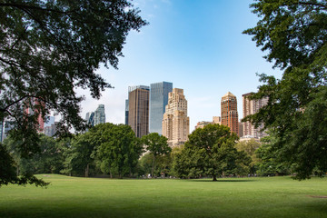 Fototapeta na wymiar New York skyline from Central Park