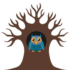 Owl in the tree hollow