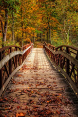 Autumn Foot Bridge - obrazy, fototapety, plakaty