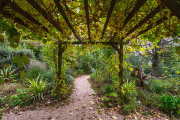 Pergola in the English garden. Autumn. The leaves turned yellow and withered.